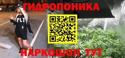 индика Краснокаменск